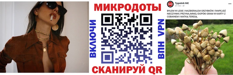 цена   кракен как зайти  Галлюциногенные грибы мицелий  Шарья 